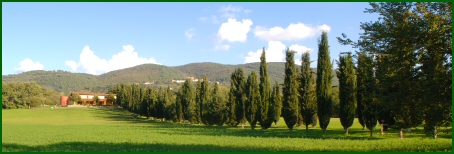 Umbria - Casale Collepera: il podere